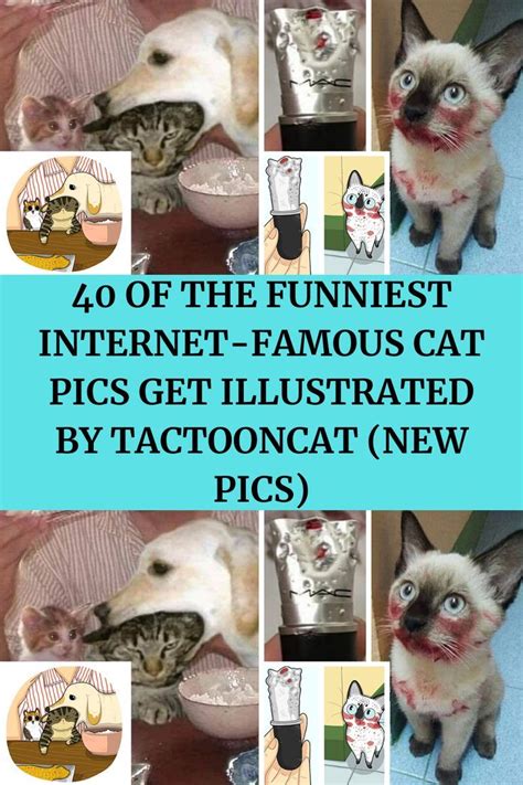 10. The Rise of the Internet Cat - gambar tajam tapi ringan menggunakan trik dari weserv.nl API lengkapi dengan source image domain