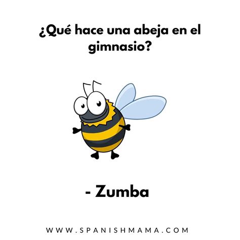 Funny Jokes Riddles In Spanish