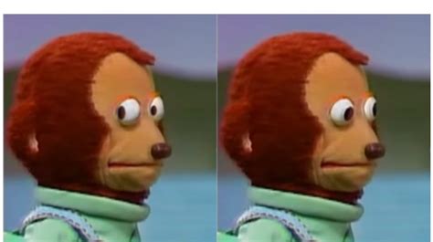 Funny Meme Pictures Blank