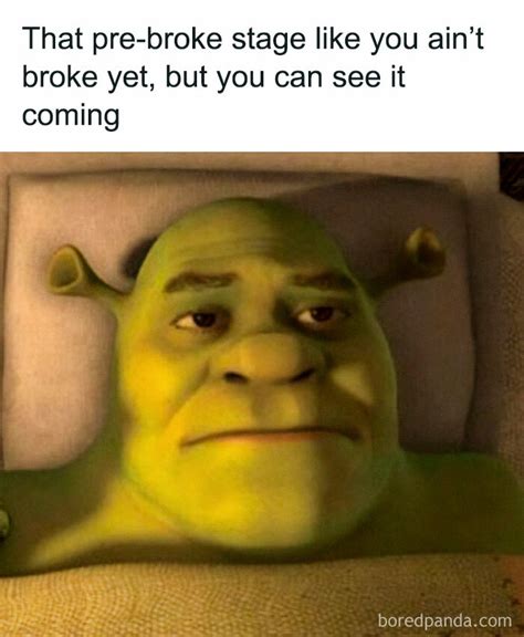 Funny Meme Pictures With Jokes