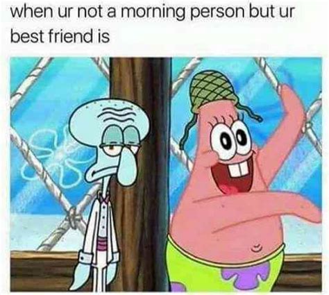 Funny Memes Best Friend