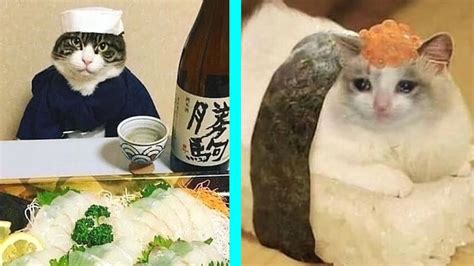 Funny Memes Compilation 2020