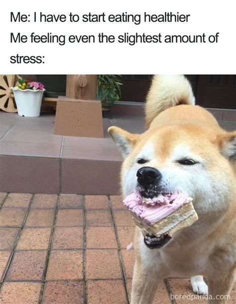 Funny Memes Eating
