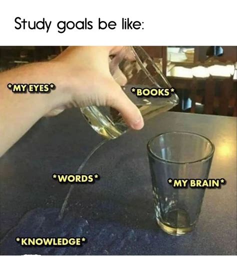 Funny Memes On Study