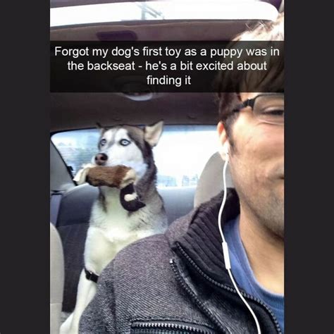 Funny Memes Updated Daily