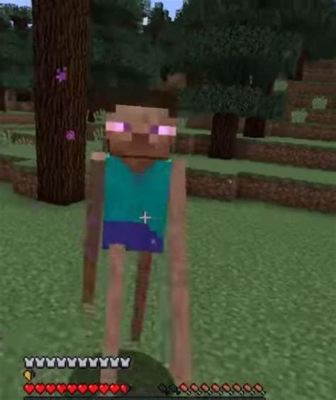 Funny Minecraft Cursed Images