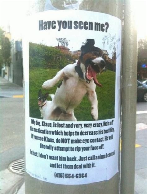 Funny Missing Dog Meme