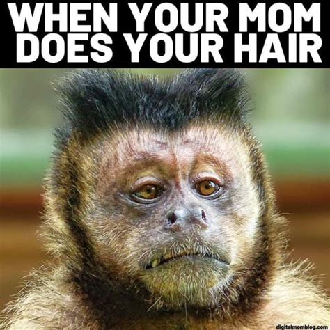 Funny Monkey Face Meme