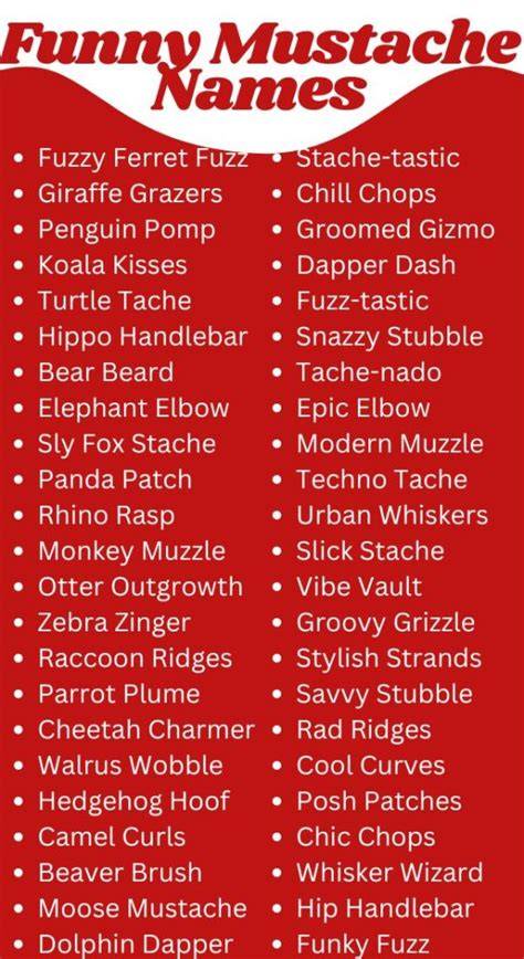 Funny Mustache Names