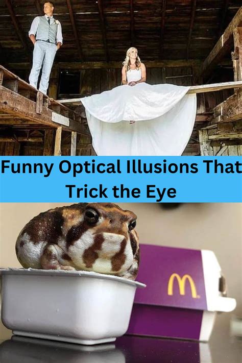 Funny Optical Illusions