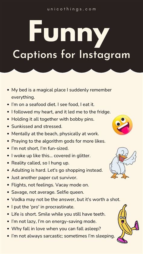 Funny Pictures And Captions