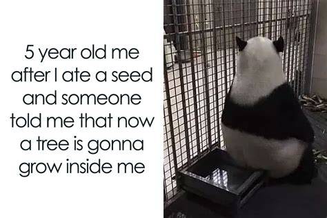 Funny Pictures Bored Panda
