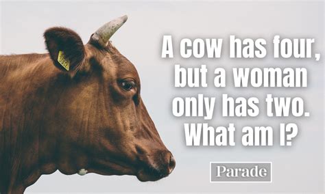 Funny Pictures Dirty