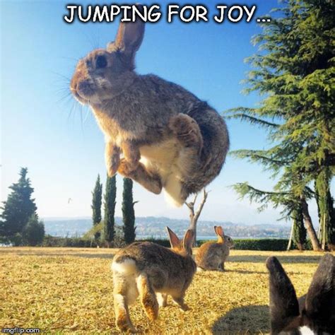 Funny Pictures Jumping For Joy