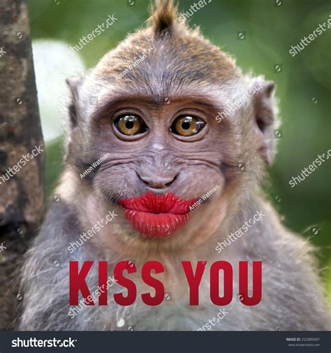 Funny Pictures Kiss