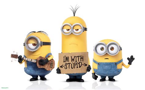 Funny Pictures Minions