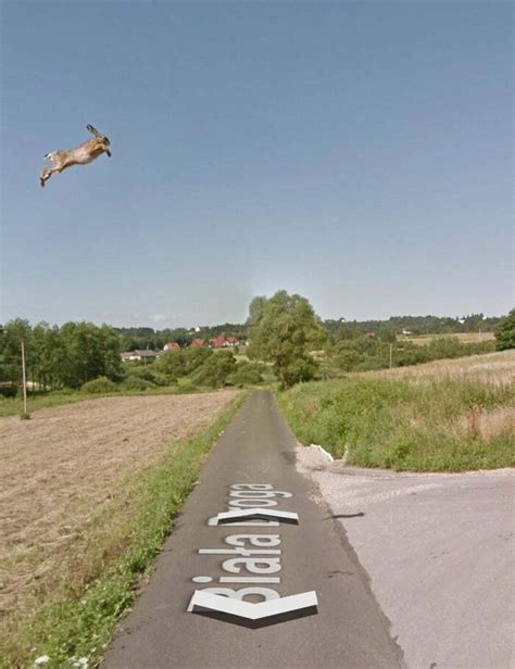Funny Pictures On Google Maps