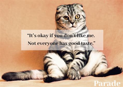 Funny Pictures Quotes Sarcasm