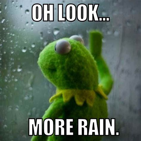Funny Pictures Rain
