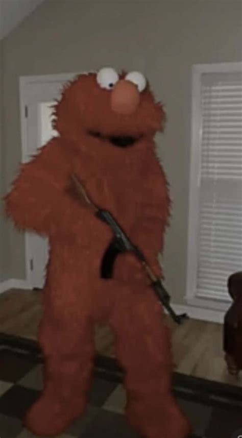 Funny Pictures Random