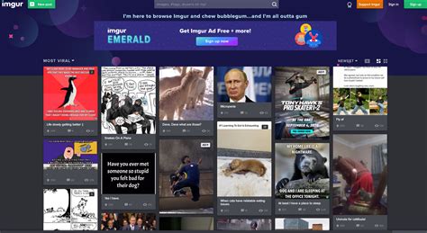 Funny Pictures Sites