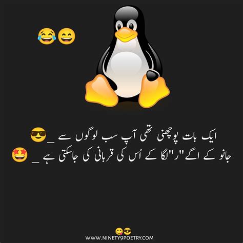 Funny Pictures Urdu Comments
