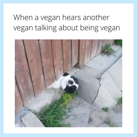 Funny Pictures Vegan