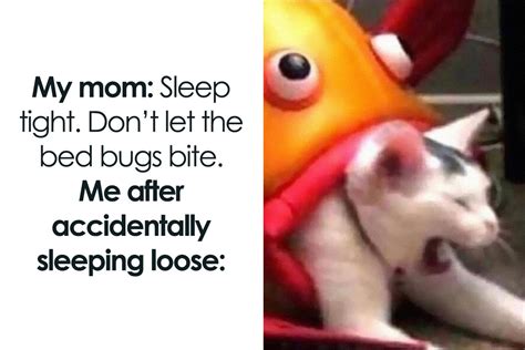 Funny Pictures With Memes