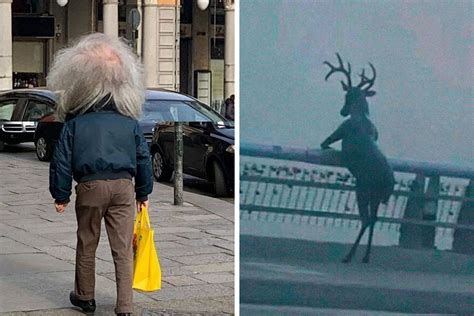 Funny Pictures With No Caption