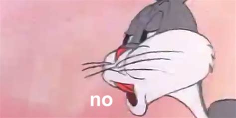 Funny Pictures With No Meme