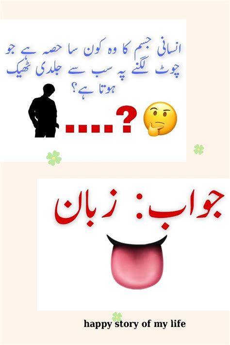 Funny Riddles With Answers In Urdu