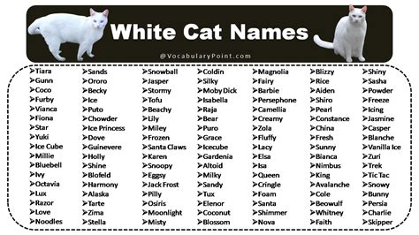 Funny White Cat Names