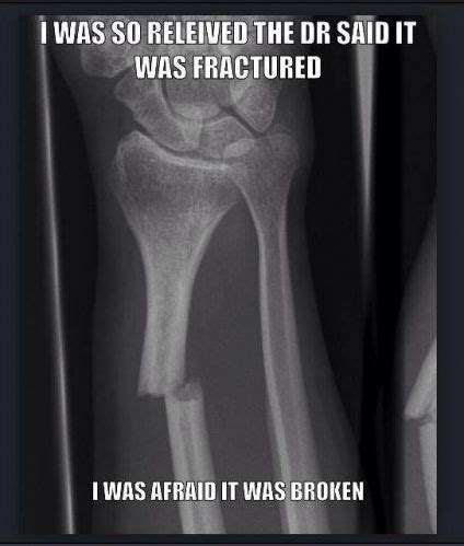 Funny Xray Pictures Gallery