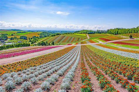 Furano Hokkaido