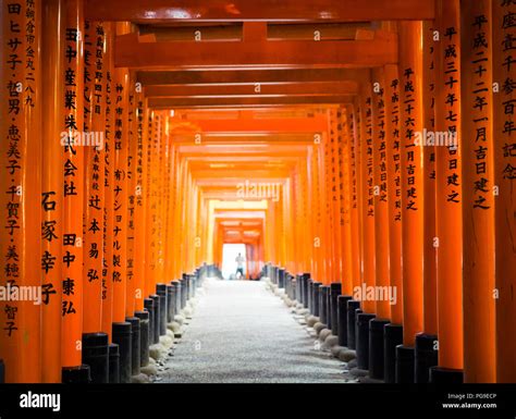 Fushimi Inari Taisha Gates