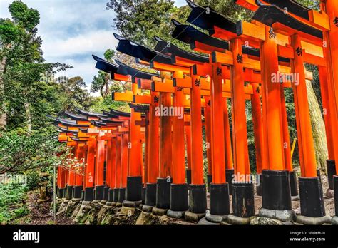 Fushimi Inari respect