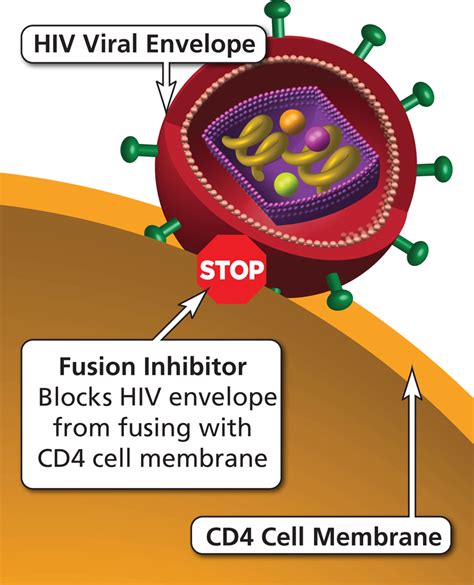 Fusion Inhibitors