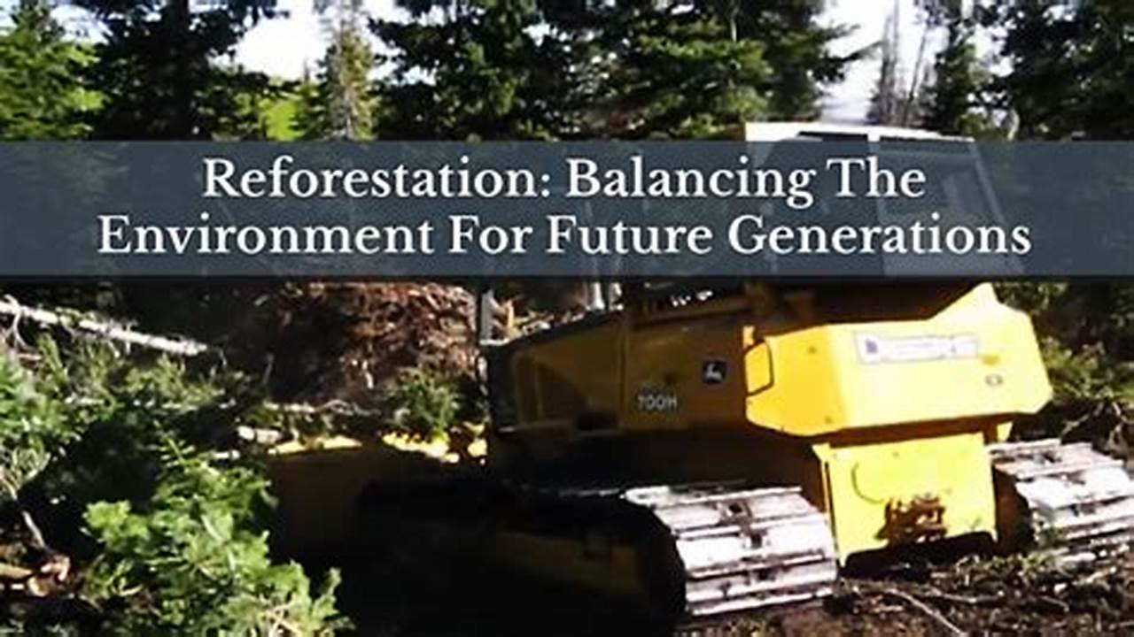 Future Generations, Reforestation