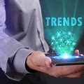 Future Trends in the Box Business Industry