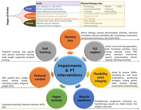 Future Directions: Advancements in Stroke Assessment Protocols