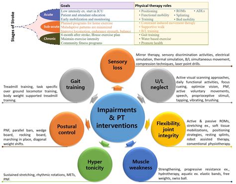 Future Directions Advancements in Stroke Assessment Protocols