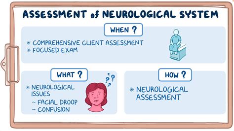 Future Directions in Neurological Assessment Using Wiring Diagram