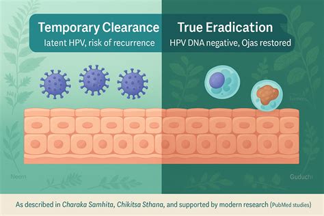 Future Research The True Permanent Cure