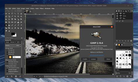 GIMP software