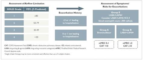 GOLD Guidelines Updated for COPD Management