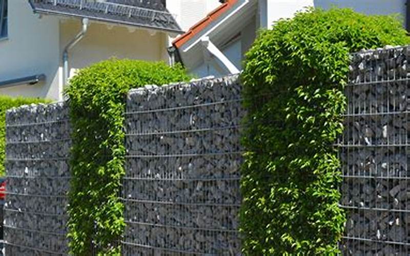 Gabion Fence Vs Privacy Fence: Which Is Better?