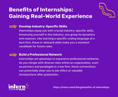Gaining Experience: Internships and Networking