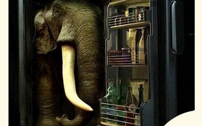 Gajah Kedalam Kulkas