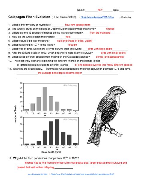 Galapagos Finch Evolution Hhmi Worksheet Answers