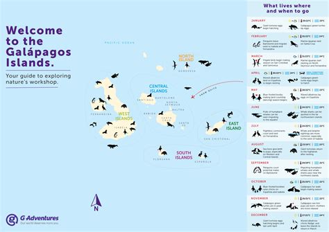 Galapagos overview
